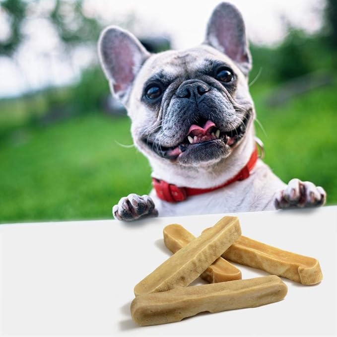 EcoKind Premium Gold Yak Cheese Himalayan Dog Chews, Dog Treats Large Breed, All Natural, High Protein, for Aggressive Chewers, Large - 3 Chews-PawvioPets