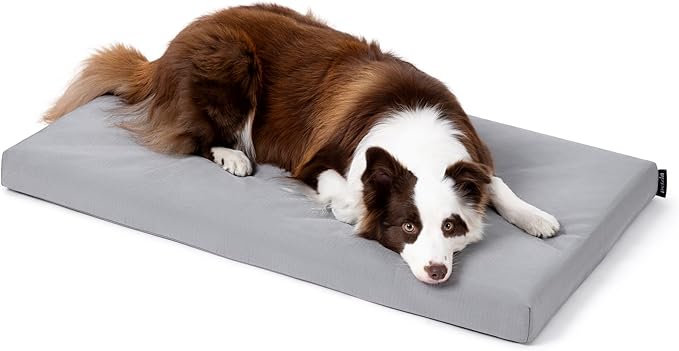 Cybarmour Indestructible Dog Bed - Outdoor Waterproof Chew Proof Dog Crate Pad - Orthopedic Kennel Mat for Aggressive Chewers - Large Breeds & Fits 36-Inch Crate - 35"x22", Limestone-PawvioPets