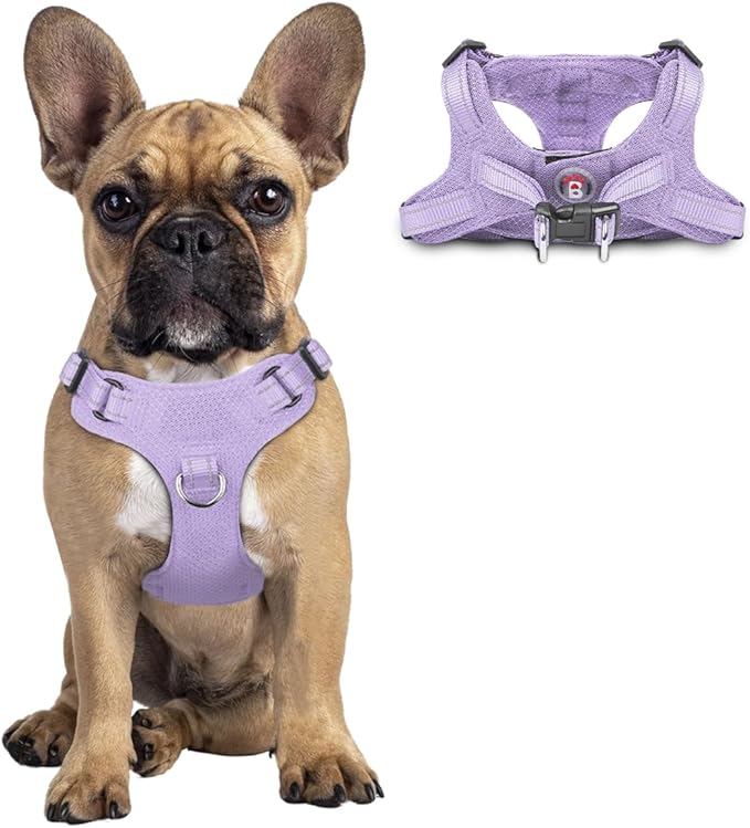 Dog Harness Step in Dog Vest Harness, Reflective Adjustable Puppy No Pull Harness Breathable Soft for Small and Medium Dogs Cats, Violet Purple, S-PawvioPets