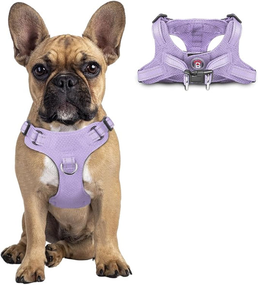 Dog Harness Step in Dog Vest Harness, Reflective Adjustable Puppy No Pull Harness Breathable Soft for Small and Medium Dogs Cats, Violet Purple, S-PawvioPets