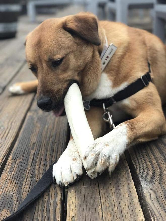 Brazilian Pet Premium Retriever Rolls 10-11 inches (10 Pack),100% Natural Dog Treat Chew. No Artificial Preservatives-PawvioPets