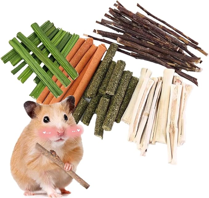 400g 5 Guinea Pig Toys Apple Sticks, Tissimo Grass Sticks, Sweet Bamboo, Papaya Stems, Carrot Sticks Pertain Chinchilla Squirrel Gerbil Hamster Squirrel Guinea Pigs-PawvioPets