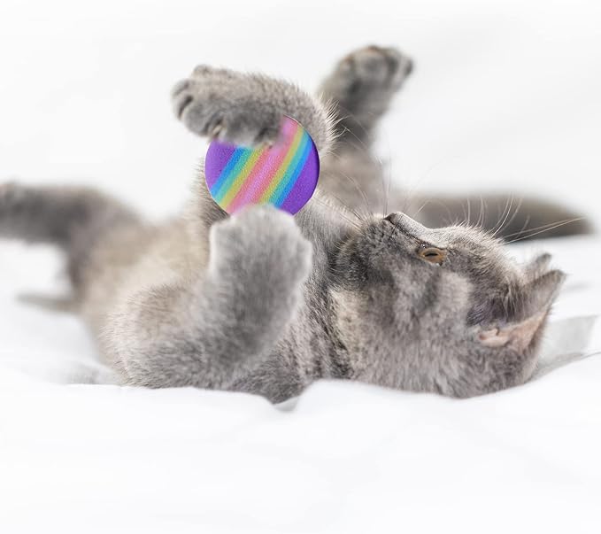 BLMHTWO 12PCS Rainbow Cat Toys, EVA Foam Balls 1.65inch Lightweight Colorful Interactive Pet Balls for Cats, Kittens, Puppy (6 Colors)-PawvioPets