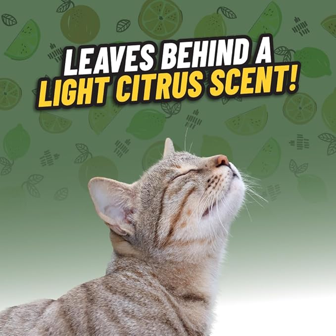 Ghosted Pet Odor Eliminator, Refresh Your Home, Car, Office, & More, from Chemical Guys (32 Fl Oz) - Fresh Citrus Scent - PCS10232-PawvioPets