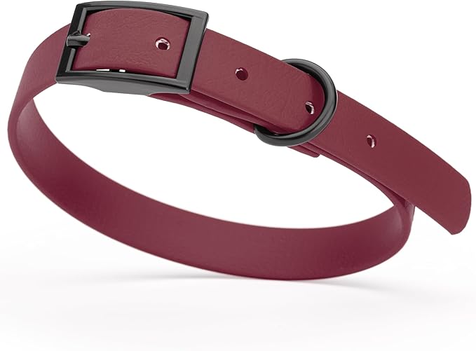 Dogline Biothane Waterproof Dog Collar Strong Coated Nylon Webbing with Black Hardware Odor- Proof for Easy Care Easy to Clean High Performance Fits Small Medium or Large Dogs, Merlot Burgundy-PawvioPets