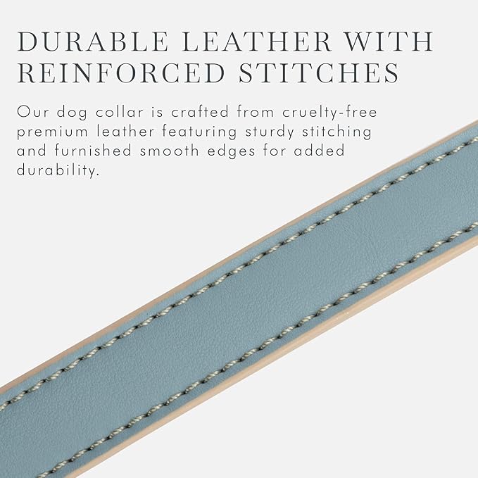 Cupertino Dog Collars, Harnesses & Leashes Made from Vegan Leather with Dog Tracker Device Holder Adjustable Dog Collar - Color Blue, Large-PawvioPets