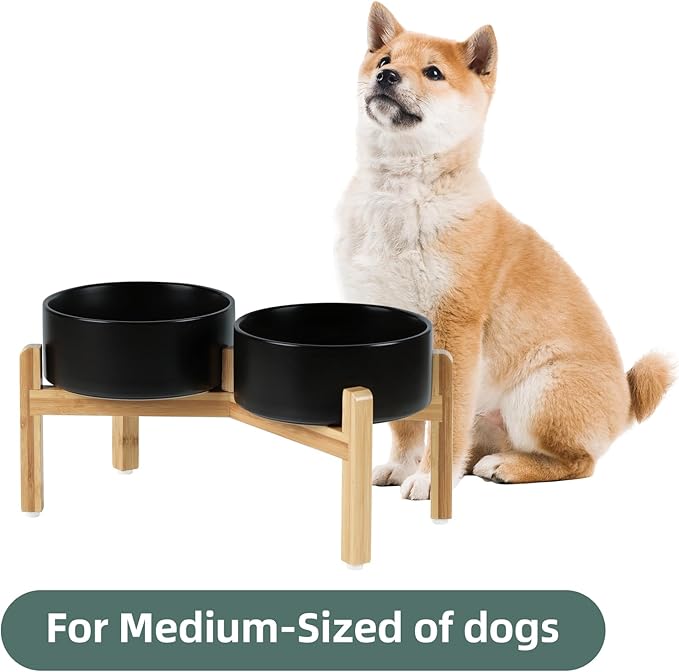 Ceramic Raised Double Bowls Set with Stand, Food & Water Bowls for Medium Breed Dogs, Weighted Dog Dishes, Pet Bowl(7.3'',41OZ, Black)-PawvioPets