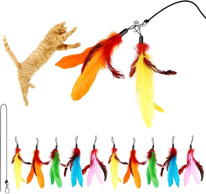 11PCS Cat Feather Toys Refills, 10PCS Feathers and 1PC String, Interactive Cat Wand Toy Replacement for Bored Indoor Adult Cats & Kittens-PawvioPets