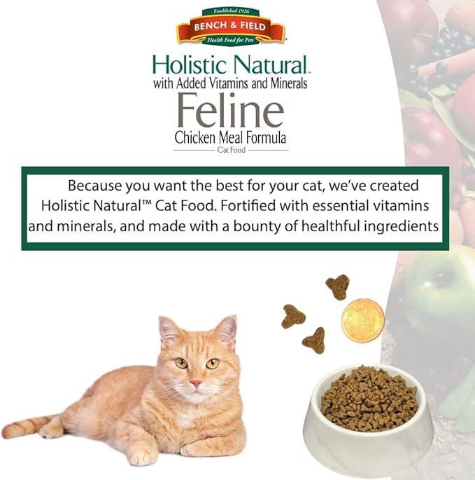 Bench & Field Holistic Natural Premium Adult Dry Cat Food, Chicken Meal and Brown Rice Recipe 25 lb Bag (Pack of 1)-PawvioPets