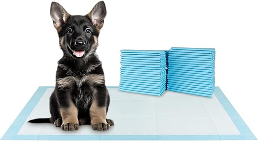 BV XXL Puppy Pads 20 Count 30" x 36" - Leak-Proof Pee Pads for Dogs with 6-Layer Design, Rapid Dry Sheet & Attractant - Dog Pad Extra Large with Odor Control - Perfect for Big Dogs & Indoor Use-PawvioPets