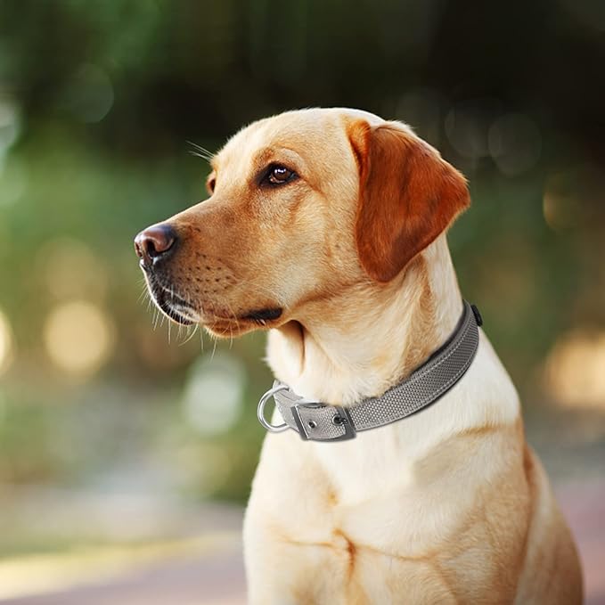Fida Heavy Duty Dog Collar, Ultra Comfortable Soft Neoprene Padded, Adjustable Reflective Nylon Pet Collar with Durable Metal Belt Buckle for Large Breeds (L, Grey)-PawvioPets