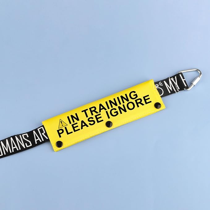 Funny Dog Leash Sleeve in Training Please Ignore Dog Leash Wrap Sleeve Alert Tag Pet Birthday Gift (Training Please Ignore-YE Sleeve)-PawvioPets