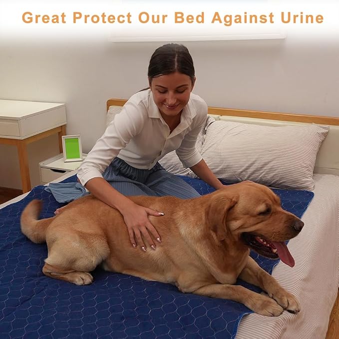 2Pack Dog Pads Washable 53”x65”, Extra Large Puppy Pads Waterproof, Super Absorption, Anti Skid Whelping Pad for Puppy Pen-PawvioPets