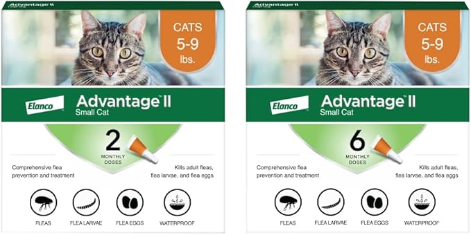 Advantage II Small Cat Vet-Recommended Flea Treatment & Prevention | Cats 5-9 lbs. | 8-Month Supply-PawvioPets