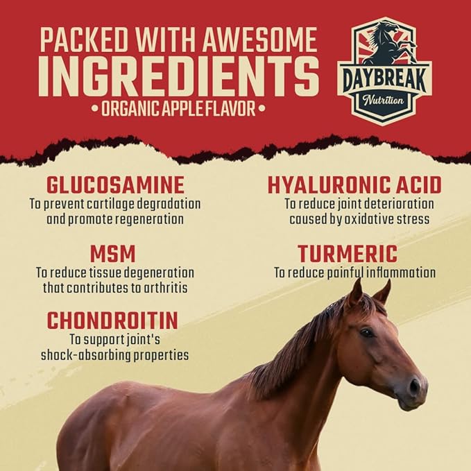 8 in 1 Maximum Strength Equine Joint Supplement - Joint Supplement for Horses - Glucosamine, MSM, Chondroitin, Turmeric, Hyaluronic Acid, Manganese, & Boswelia - 964g (30 Servings)-PawvioPets