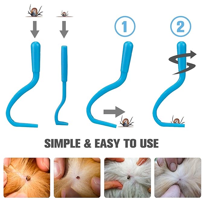 Cat & Dog Grooming Set - Fine Tooth Comb for Removing Dandruff Flakes & Hair (Blue)-PawvioPets