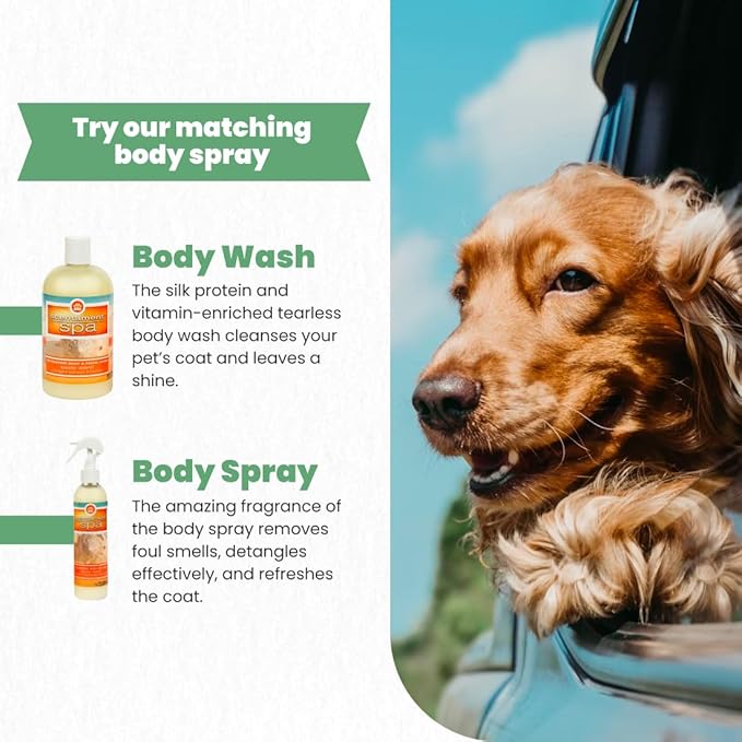 Best Shot Scentament Spa Seasonal Facial & Body Wash, Exotic Island, 16 oz-PawvioPets