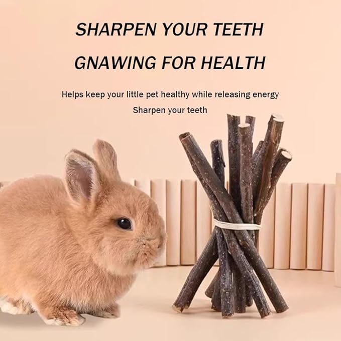 400g 5 Guinea Pig Toys Apple Sticks, Tissimo Grass Sticks, Sweet Bamboo, Papaya Stems, Carrot Sticks Pertain Chinchilla Squirrel Gerbil Hamster Squirrel Guinea Pigs-PawvioPets