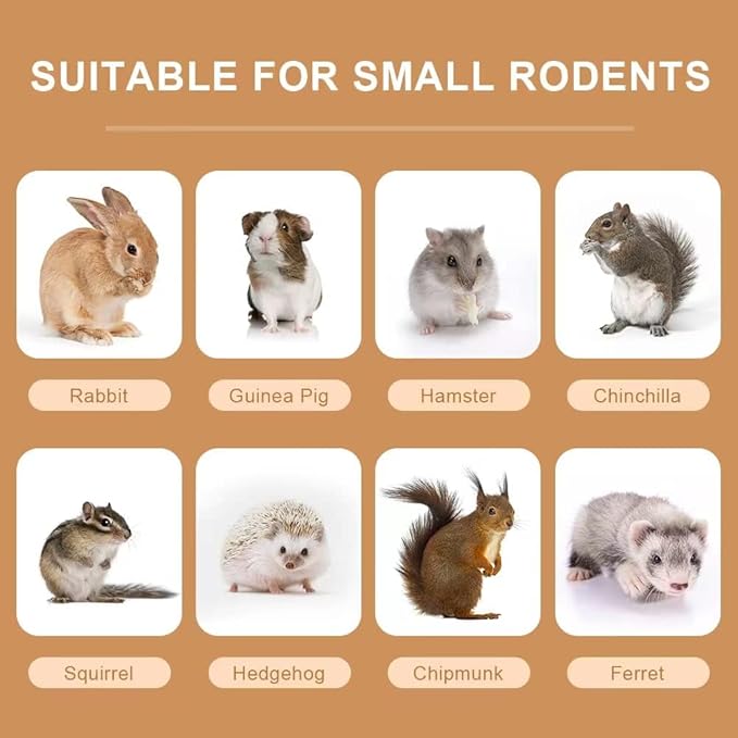 300g Guinea Pig & Rabbit Chew Toys with Apple & Timothy Sticks - Prevent Overgrown Teeth with Sweet Bamboo Treats - Ideal Rabbit Treats Included!-PawvioPets