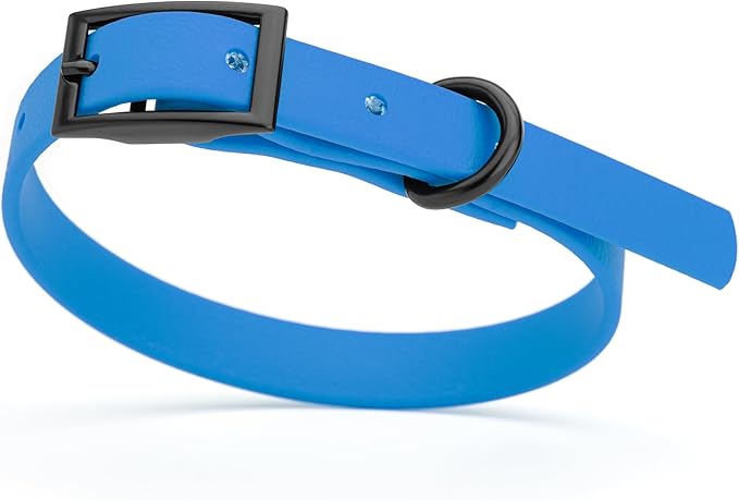 Dogline Biothane Waterproof Dog Collar Strong Coated Nylon Webbing with Black Hardware Odor- Proof for Easy Care Easy to Clean High Performance Fits Small Medium or Large Dogs, Cerulean Blue-PawvioPets
