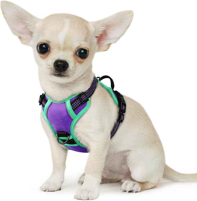 Eagloo Small Dog Harness No Pull, Service Vest with Reflective Strips and Control Handle, Adjustable and Comfortable for Walking, No Choke Pet Harness with 2 Metal Rings, Purple & Green, XS-PawvioPets