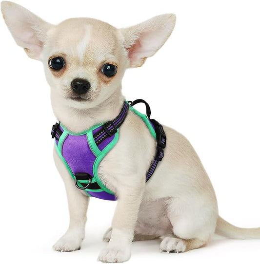 Eagloo Small Dog Harness No Pull, Service Vest with Reflective Strips and Control Handle, Adjustable and Comfortable for Walking, No Choke Pet Harness with 2 Metal Rings, Purple & Green, XS-PawvioPets