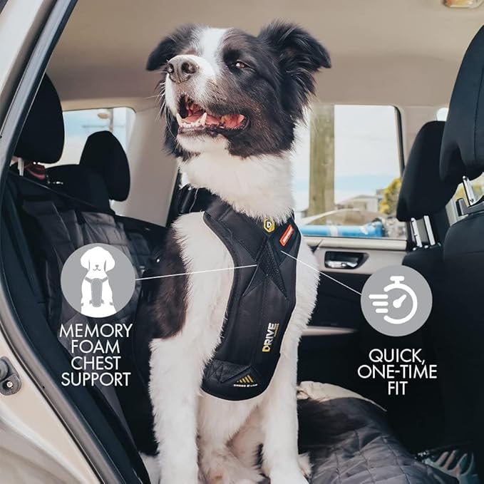 Ezydog Drive Dog Car Harness – Crash Tested and Certified (US-FMVSS 213) Dog Seat Belt Harness for Safe Travel, Adjustable with Padded Comfort (Medium)-PawvioPets