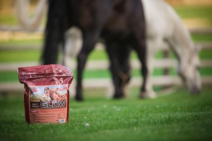 Glow 10 lb, Aids in Weight Gain and Improves Coat and Condition, Includes Omega-3’s-PawvioPets