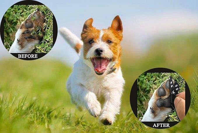 Dog Paw Protector Anti-Slip Grips to Keeps Dogs from Slipping On Hardwood Floors,Disposable Self Adhesive Resistant Dog Shoes Booties Socks Replacement M 24 Pieces-PawvioPets