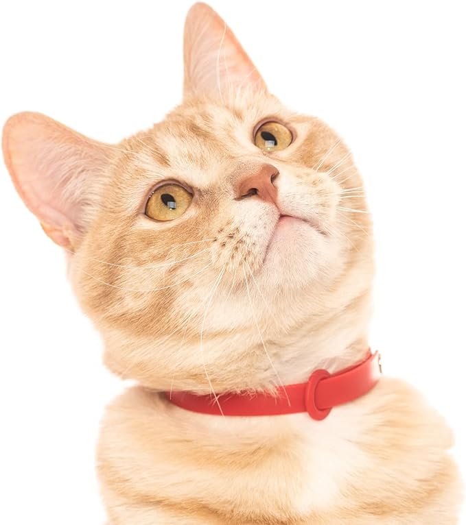 5 Pack Breakaway Cat Collar - Soft, Comfortable, and Lightweight Safety Buckle Collar with ID Tag Ring for Outdoor Cats and Kittens by Nuvuq (6 ⅞" to 10 ¼", Red, Orange, Pink, Blue and Black)-PawvioPets