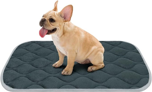 furrybaby Dog Bed Mat Flat Crate Mat with Anti-Slip Bottom Machine Washable Pet Kennel Pad for Dog Sleeping (M 30x19'', Grey Mat)-PawvioPets