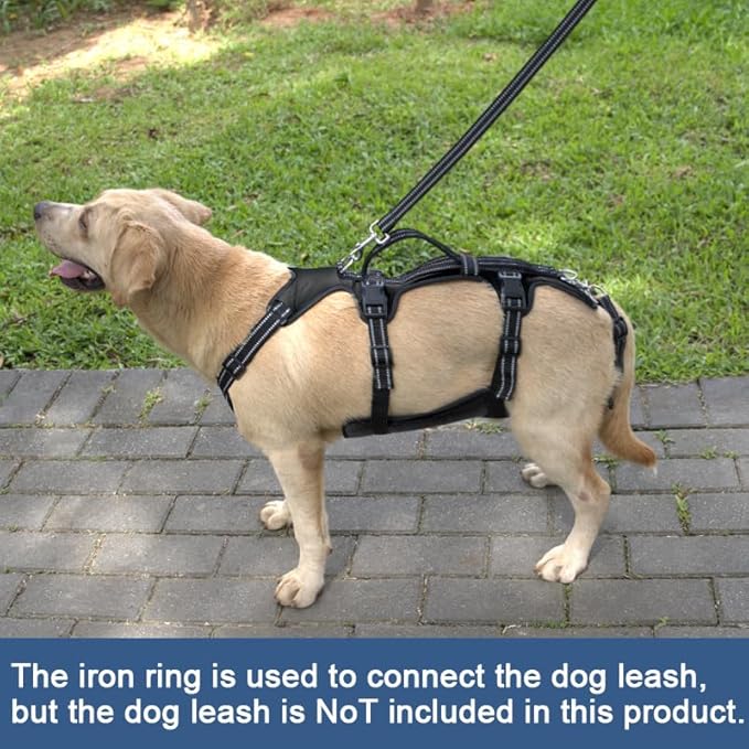 Coodeo Dog Lift Harness, Support & Recovery Sling, Pet Rehabilitation Lifts Vest Adjustable Breathable Straps for Old, Disabled, Joint Injuries, Arthritis, Paralysis Dogs Walk (Black,M)-PawvioPets