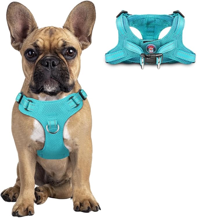 Dog Harness Step in Dog Vest Harness, Reflective Adjustable Puppy No Pull Harness Breathable Soft for Small and Medium Dogs Cats, Ocean Blue, S-PawvioPets