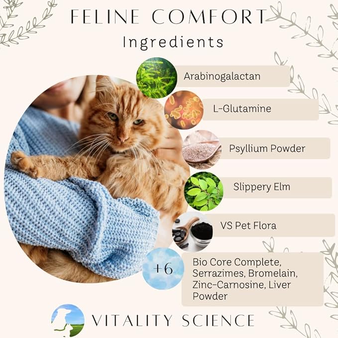 Gastro Prime Combo for Cats | Supports Normal GI Function and Improves Nutrient Assimilation-PawvioPets