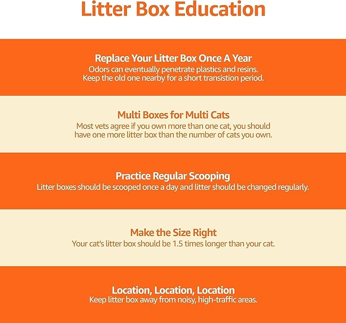 Amazon Basics Large Cat Litter Box with High Sides, Top Entry, Includes Scoop, 20.5 x 14.75 x 14.38 inches, Grey-PawvioPets