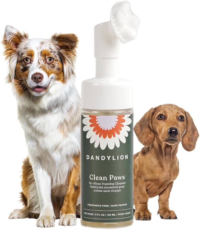 Dandylion Clean Paws | No-Rinse Dog Paw Cleaner & Puppy Paw Washer | Gentle, Fragrance-Free, pH Balanced Foaming Cleanser with Silicone Bristle Brush | Safe for All Dogs | 5 fl oz-PawvioPets