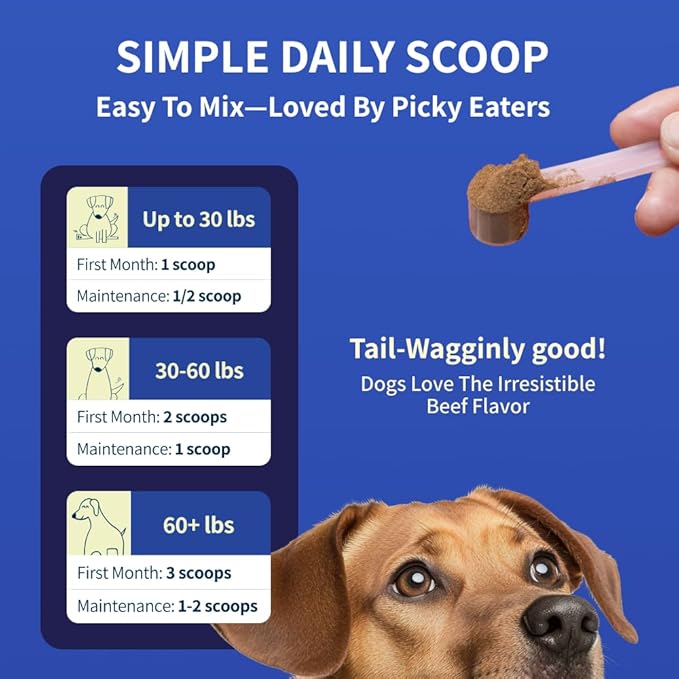 Dog Joint Supplement Powder with Glucosamine, Chondroitin & MSM – Hip & Joint Support for Mobility, Stiffness & Flexibility – Mushroom Blend with Lion’s Mane, Cordyceps & Reishi – Zoomy-PawvioPets