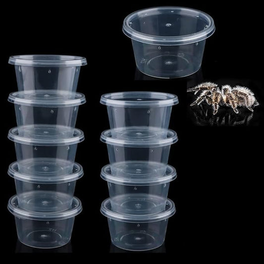 10 Pcs Spider Terrariums Breeding Box Small Round Hatching Container Acrylic Feeding Box for Spider Scorpion Centipede Insect-PawvioPets