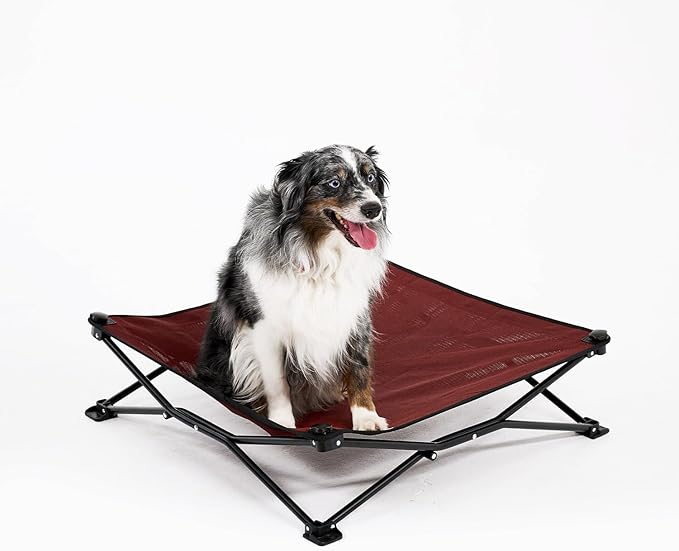 Coolaroo On-The-Go Elevated Dog Bed - Foldable Pop-Up Travel Dog Bed with Breathable, Moisture-Resistant Fabric, Carry Bag Included, Lightweight & Portable, Brick, Medium-PawvioPets