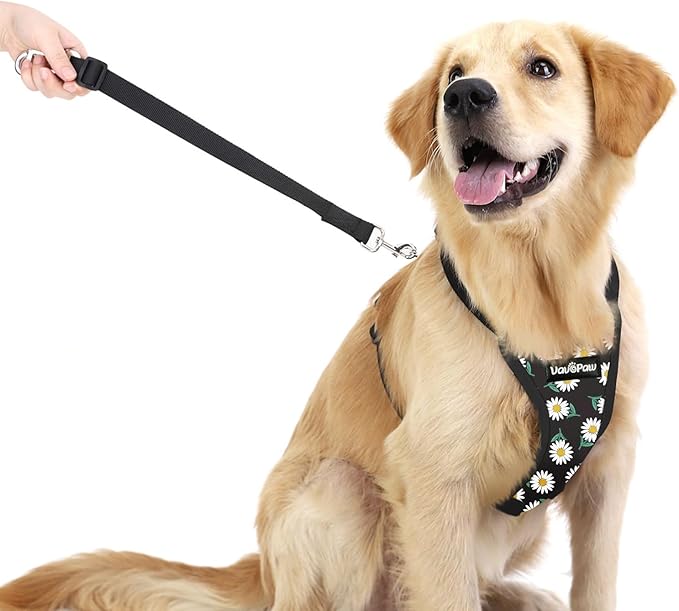 Dog Seat Belt, Safety Vest Dog Car Harness with Adjustable Buckle Dog Seat Belt for Vehicle Nylon Pet Safety Seat Belts Heavy Duty(S, Black Daisy)-PawvioPets