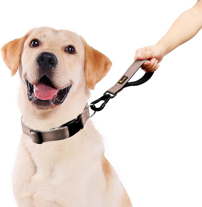 PLUTUS PET Short Dog Leash, Reflective Nylon Padded Handle, Strong Traffic Leash with Carabiner Clip, Perfect for Large or Medium Dogs (10”，Beige)-PawvioPets