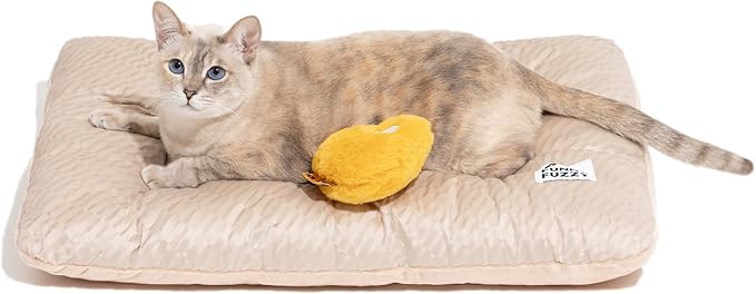 FUNNY FUZZY 2 in 1 Dog Bed Crate Pad Mat, Washable Reversible Pet Floor Mats,Fluffy Kennel Pad for Small Large Sized Dog,Indoor Cats,Sleeping Mattress, 23.6" × 17.9", Beige-PawvioPets