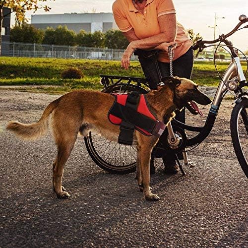 Bolux Dog Harness, No-Pull Reflective Dog Vest, Breathable Adjustable Pet Harness with Handle for Outdoor Walking - No More Pulling, Tugging or Choking (Red, L)-PawvioPets