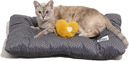 FUNNY FUZZY 24x18 Washable Dog Bed Reversible Crate Mat, 2 in1 Orthopedic Puppy Bed for Small Dogs/Cats, Fluffy Deluxe Kennel Mattress,Sleeping Pad,Charcoal Grey,S-PawvioPets