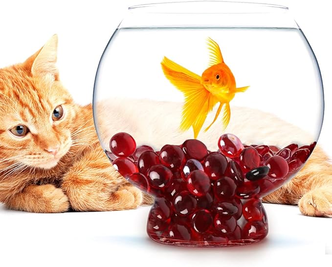 FUTUREPLUSX 1LB Red Glass Beads, Flat Glass Marbles Burgundy Pebbles Marbles for Vases Decorative Red Colored Gemstones Fish Tank Table Scatter Decor Art Craft-PawvioPets