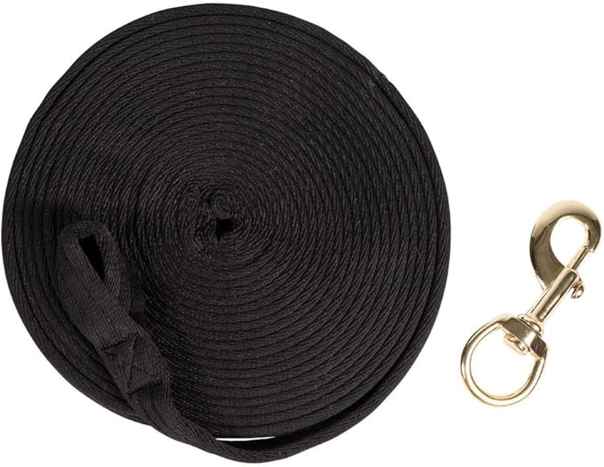 Dura-Tech Cushion Lunge Line for Horses | Stable Use & Horse Training | Horse Lunge Line with Snap | Durable Horse Lead Rope | 30 Foot Length | Replaceable Brass Snap-PawvioPets