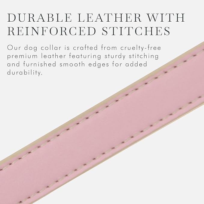 Cupertino Dog Collars, Harnesses & Leashes Made from Vegan Leather with Dog Tracker Device Holder Adjustable Dog Collar (Large, Pink)-PawvioPets