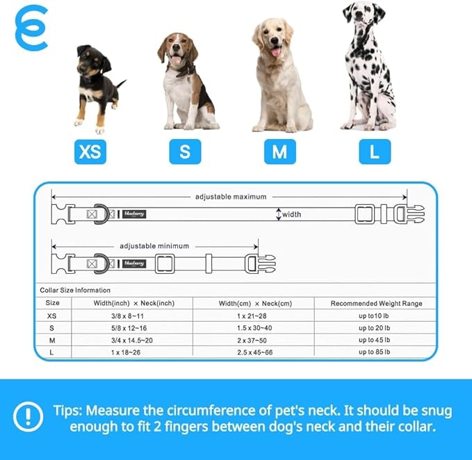 Blueberry Pet Essentials Large Dog Collar in Turquoise | Adjustable & Eco-Friendly Durable Nylon Strap | Classic Collar for Large Dogs, Boy & Girl Pets-PawvioPets