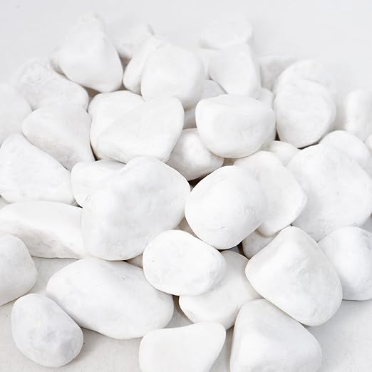 8LB 1"-2" White River Rocks for Plants, Polished Pebbles for Garden Landscaping, Planters, Aquariums, Vase Fillers – Indoor & Outdoor Decor-PawvioPets