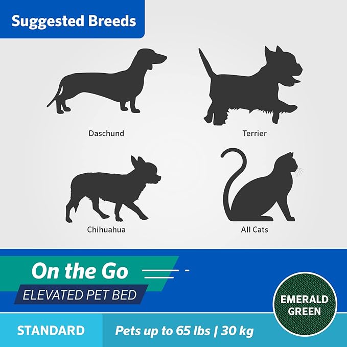 Coolaroo On-The-Go Elevated Dog Bed - Foldable Pop-Up Travel Dog Bed with Breathable, Moisture-Resistant Fabric, Carry Bag Included, Lightweight & Portable, Emerald Green, Standard-PawvioPets